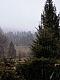 pluie de neige jura.jpg